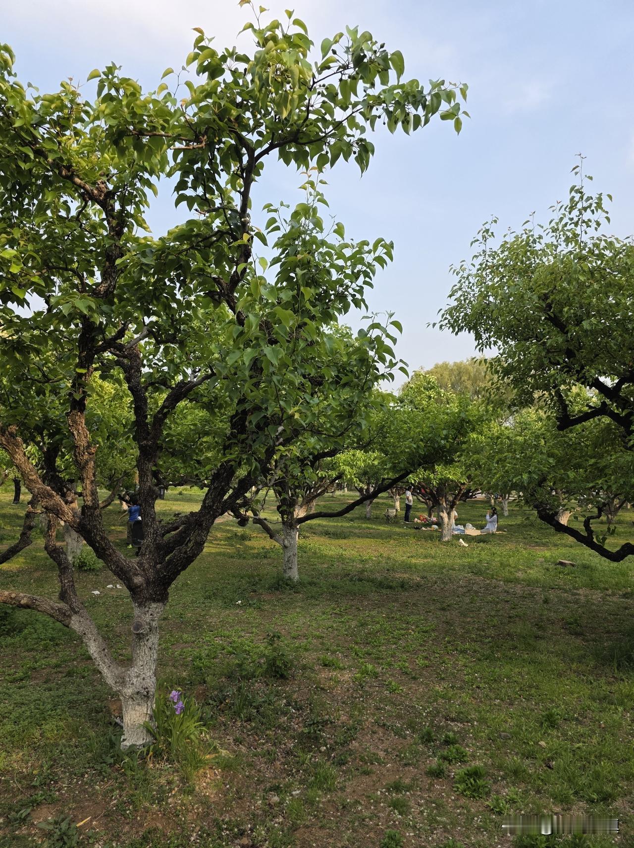 退役以来受到的最大刺激，让我改变了很多……

今天上午写的小作文里提过这件事，现