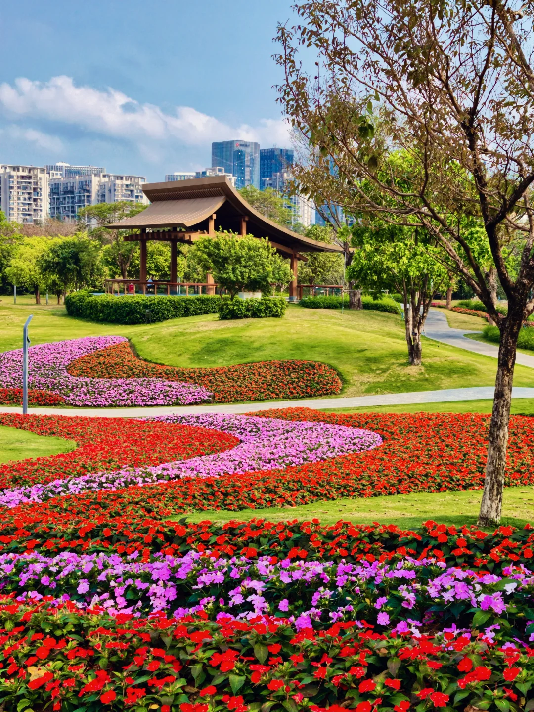 深圳前海Citywalk｜1天暴走2万步浪漫看海线