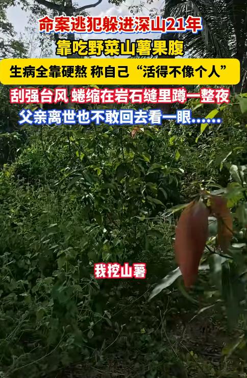 悔不当初！8月7日报道，男子刘某和同伴一起上山砍树，夜幕降临之后，两人就因为头灯