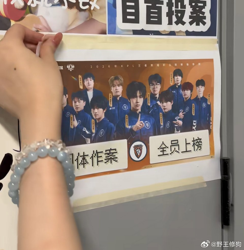 kpl 春季赛导演组的“表彰”大门最后留念有DYG全员团体作案，花缘开门大师，以