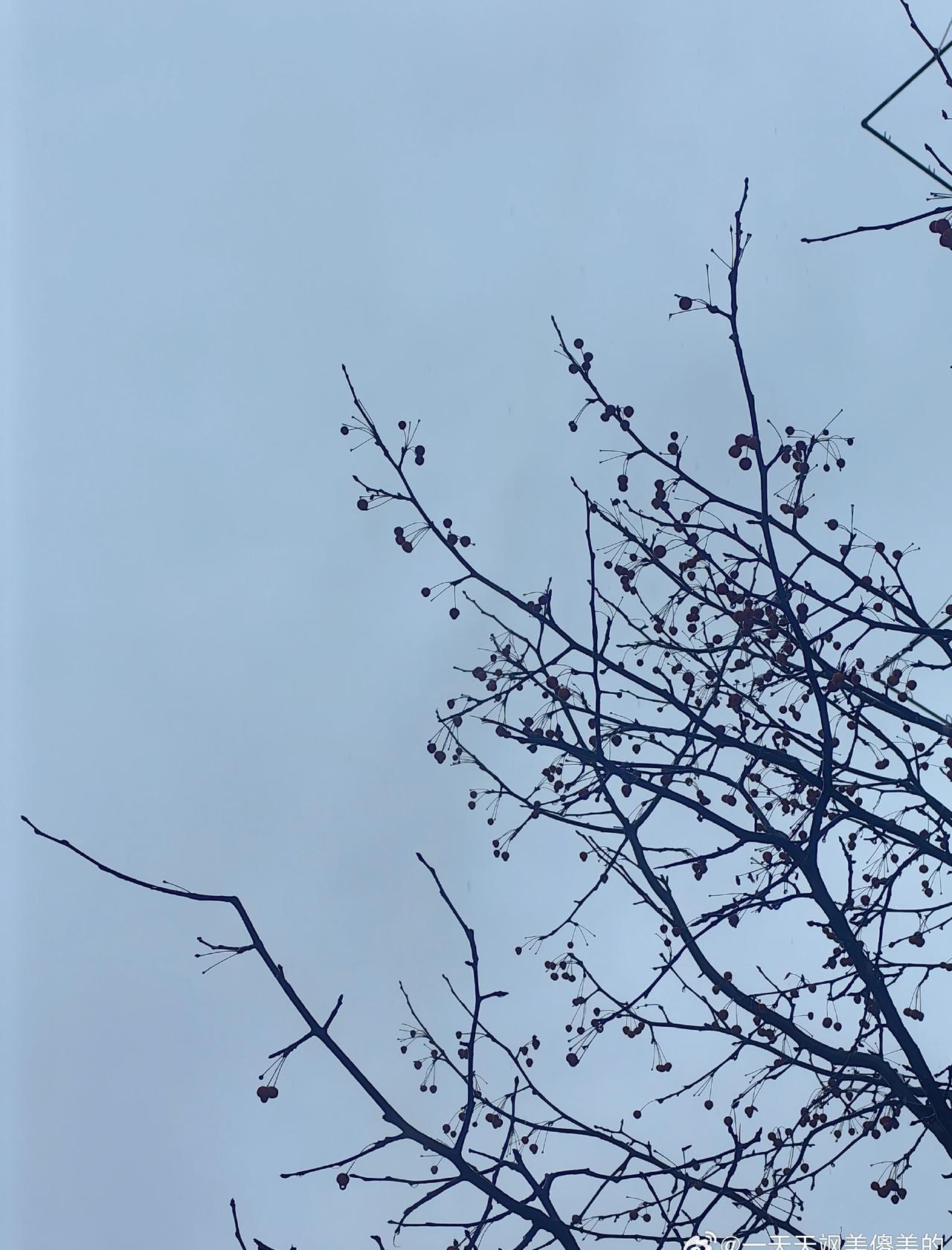 春天已经来了
和平还会远吗

中国人民永远都要保持居安思危的清醒 
上海本轮能否