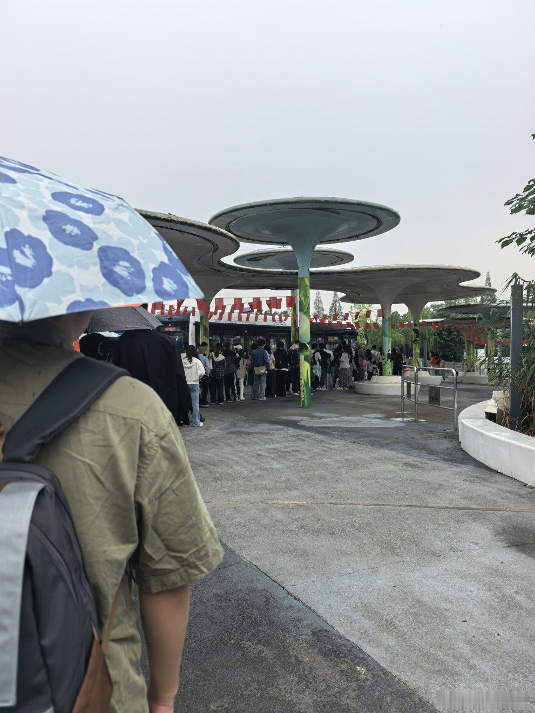 熊猫基地8：30接驳车排队情况，还可以。 ​​​