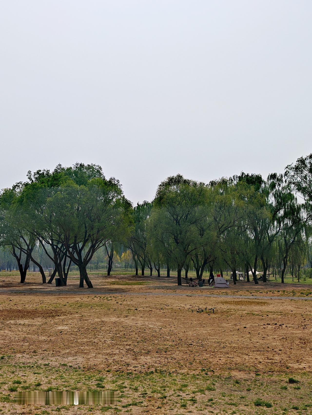 城市绿心森林公园简直是城市里的宝藏之地，风景那叫一个独好！
一进公园，大片的绿色