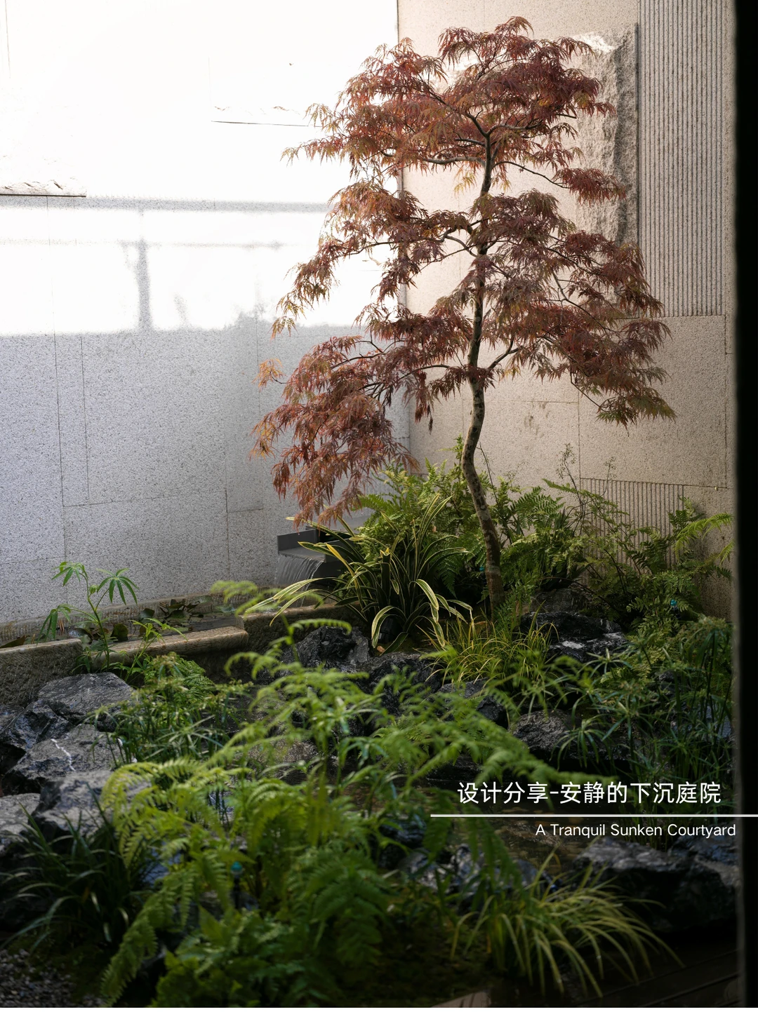 在城市住宅里，做一个安静的下沉庭院