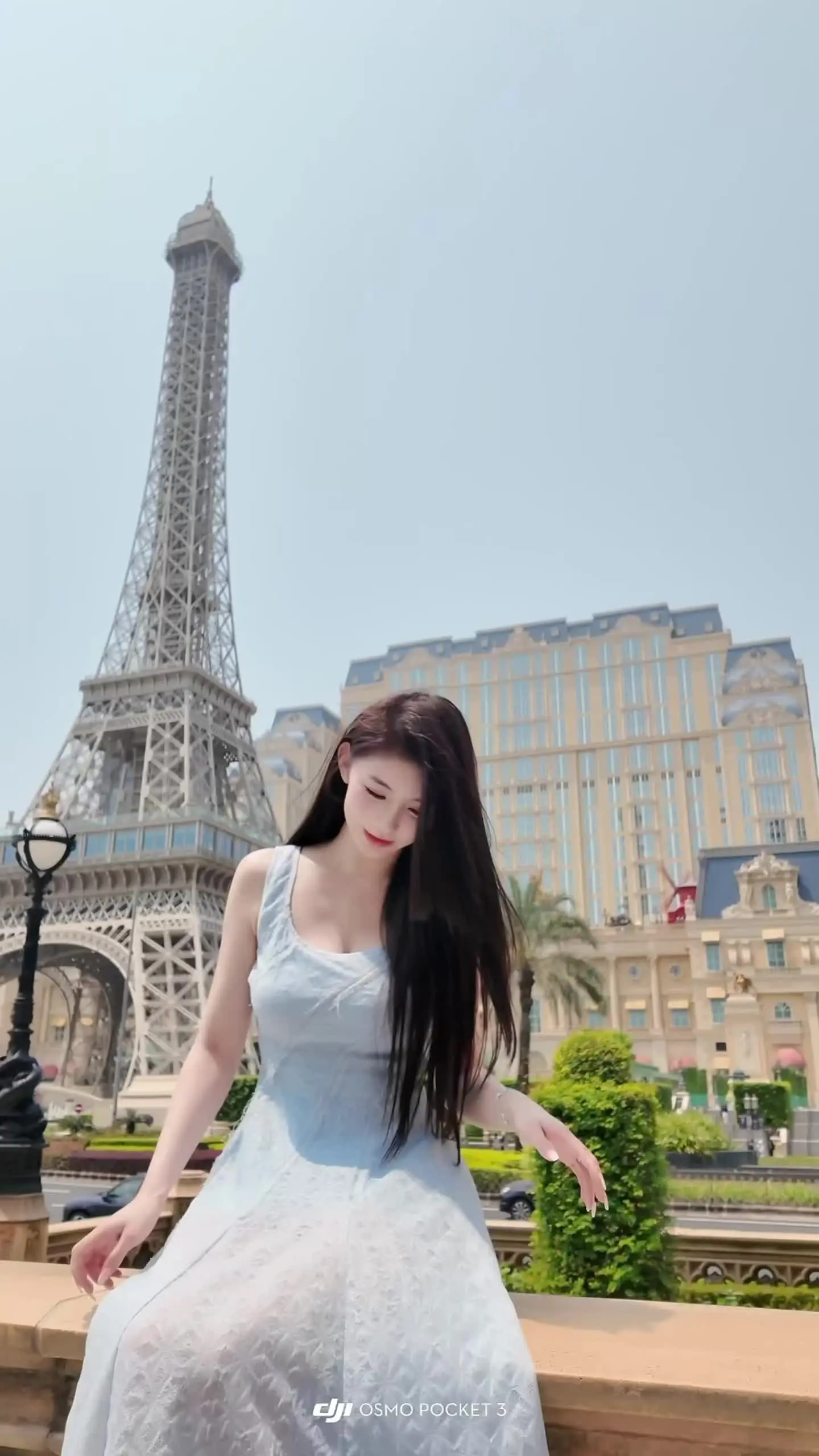 💛Summer mood 一只晒太阳就会感到幸福的小狗ʕ ᵔᴥᵔ ʔ