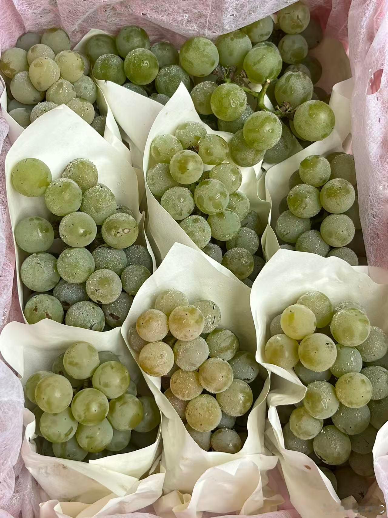 这一次的台风真的是把空调外机挂在了深圳，表弟带了些好吃的水果来，待在空调房闲聊比