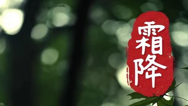 10月23日霜降！天冷后这些安全坑可别踩
 
10月23日一到，霜降节气正式上线