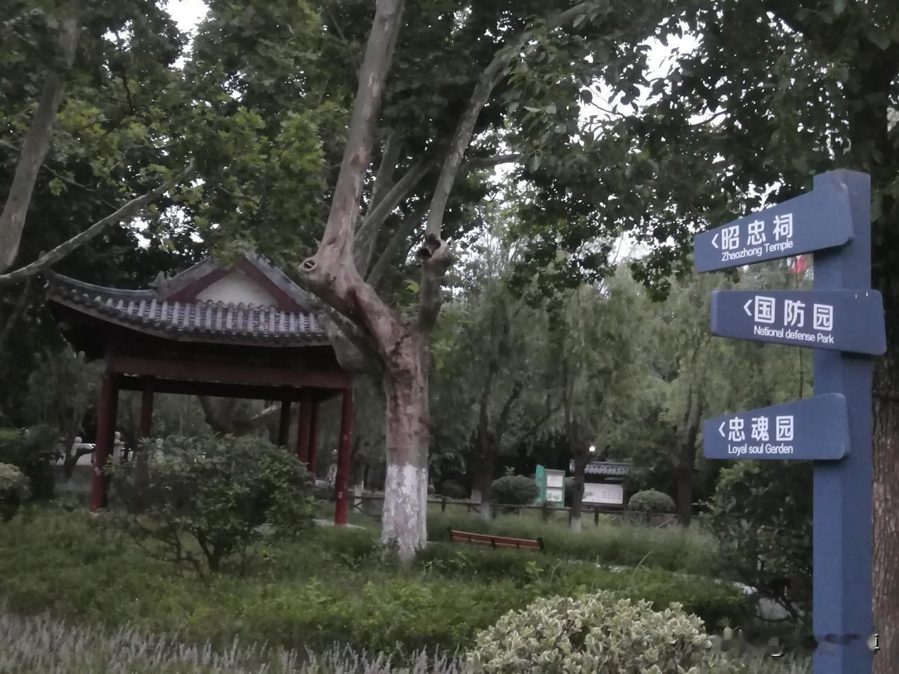 内心向阳,苦难并不难,你觉得呢?在我们单位效益一天不如一天了时候，我想与其唉声叹