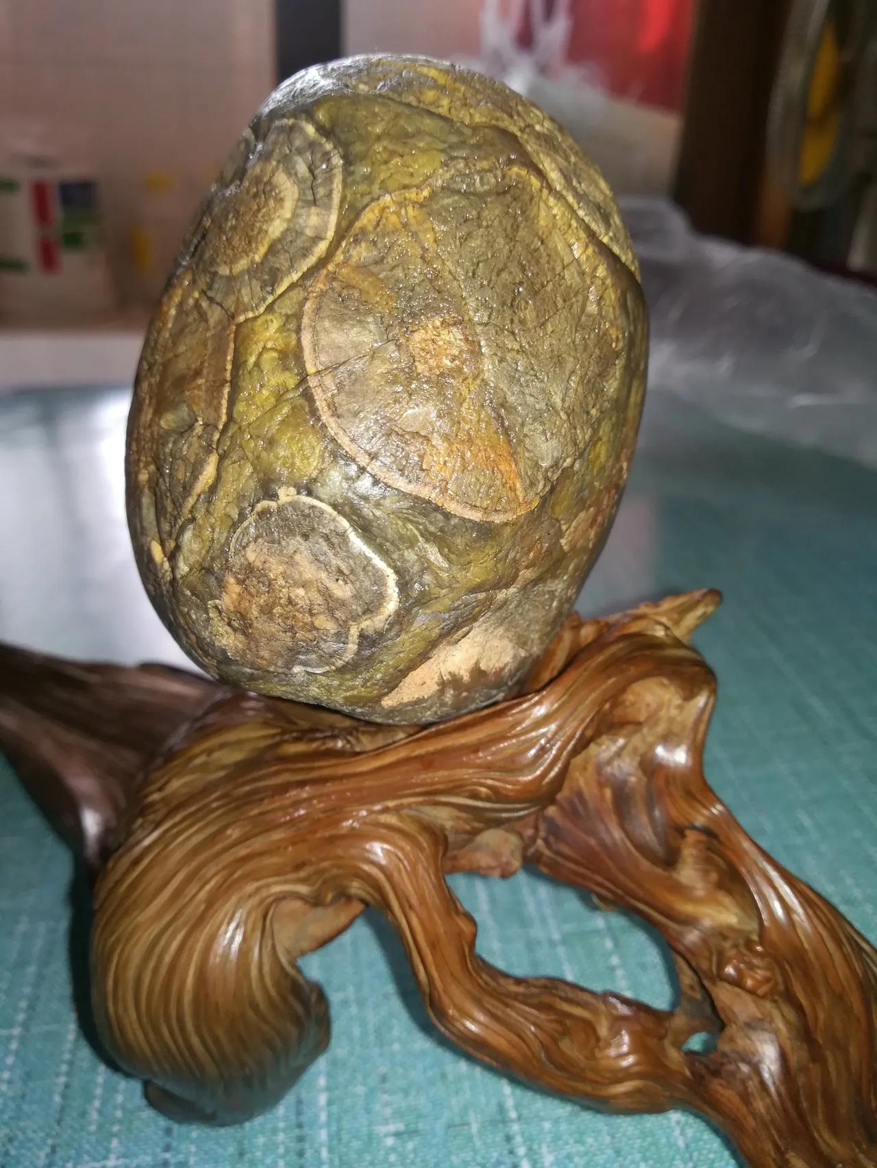 什么样的石头价值800万元啊?
作为奇石，八百万的价格不算高贵的石头。
奇石，本