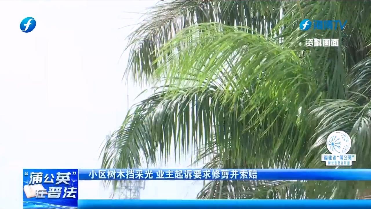 大树越长越密挡住低层采光，业主多次反映无果起诉，法院判了