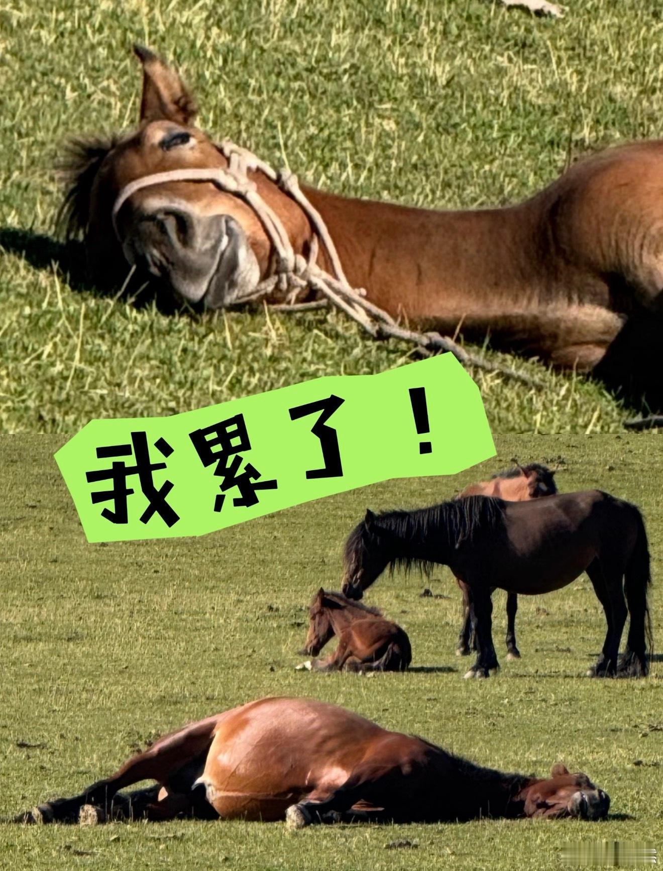 刚刚拉完体能后，吃晚饭的力气都没了。  ​​​