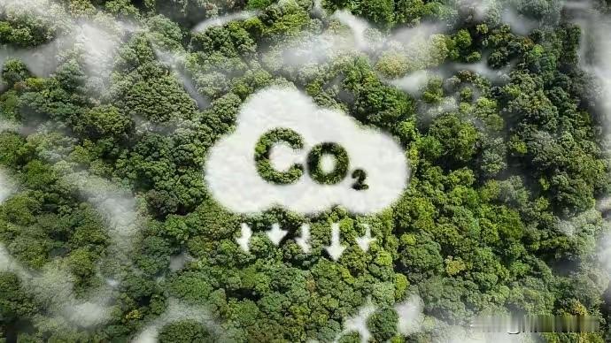 怎么看法国与德国驻华大使馆发的小作文都觉得诡异，在中国享受着空调却调侃着自己国内