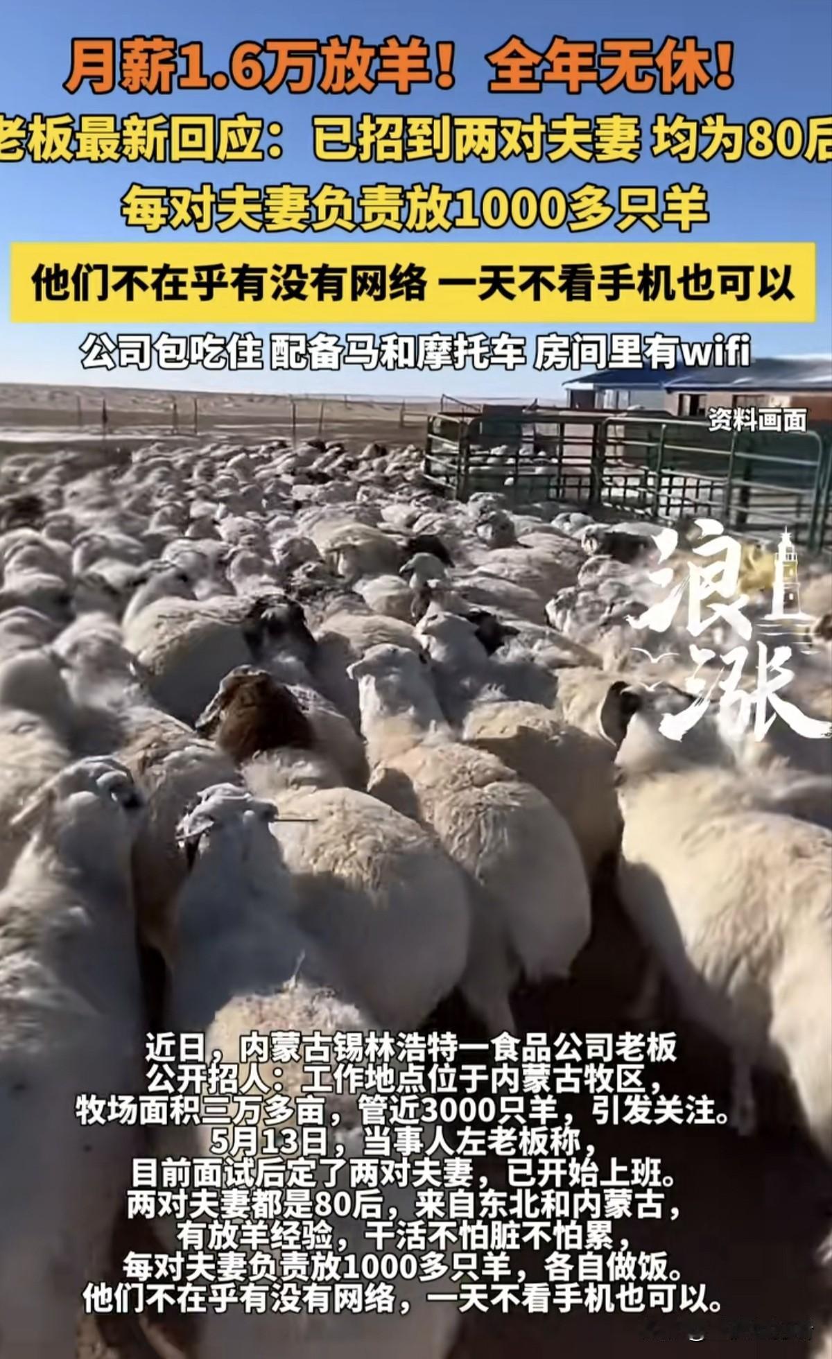 哟嚯，你再次失去了月薪过万的工作！前些时间上了热搜的招聘，内蒙古一家公司招聘放羊
