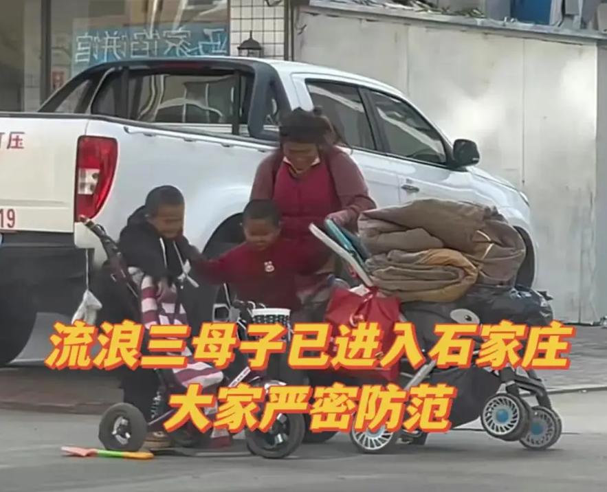“流浪三母子”越闹越大：河北网友闻风丧胆，警察介入，内情曝光 

“流浪三母子”