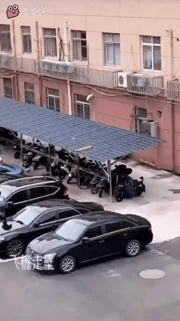 没想到吧，没想到此时此刻五菱赢了[机智]