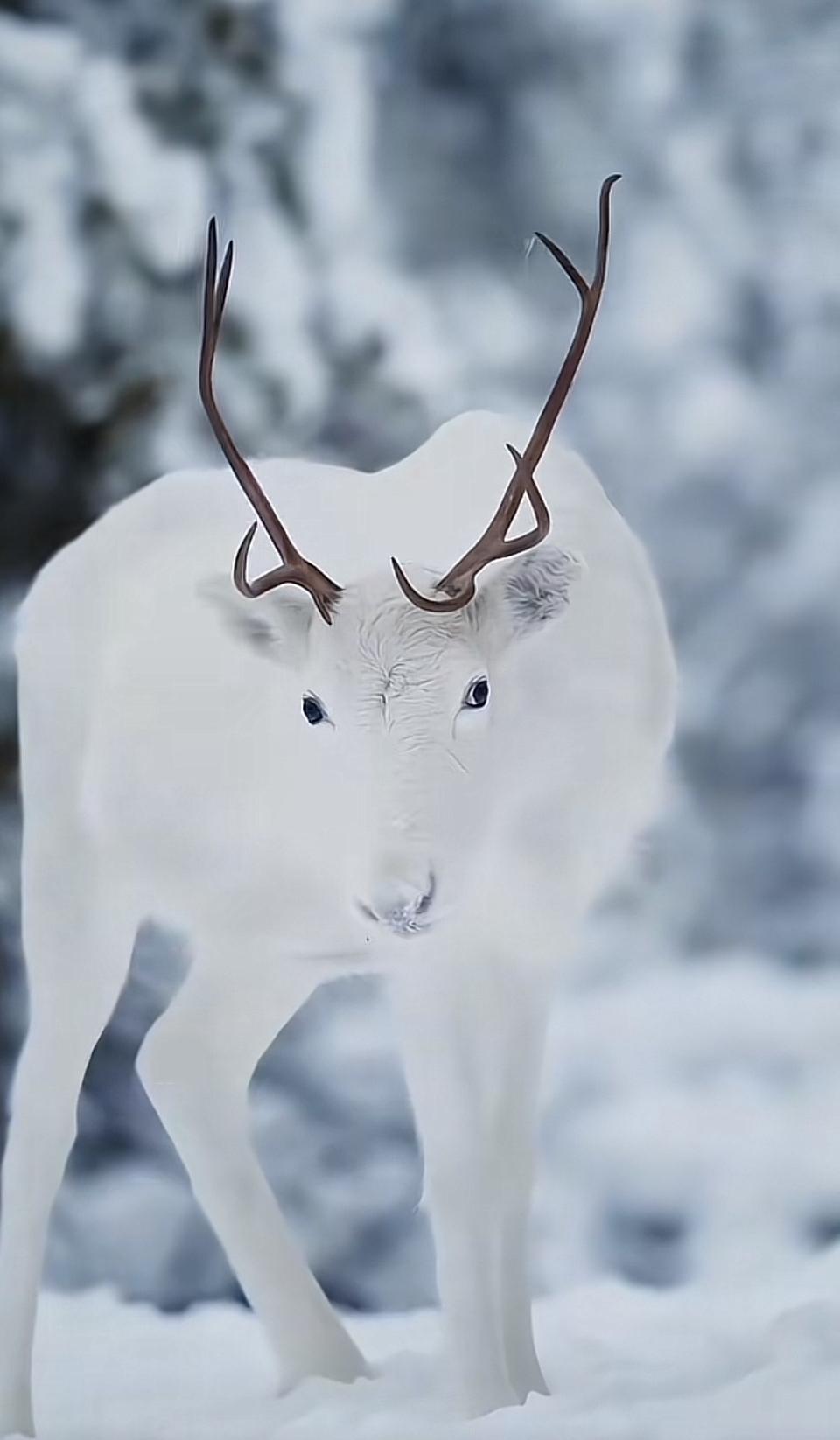 跟小伙伴们一起爬树掏鸟窝，现在想想很有趣。