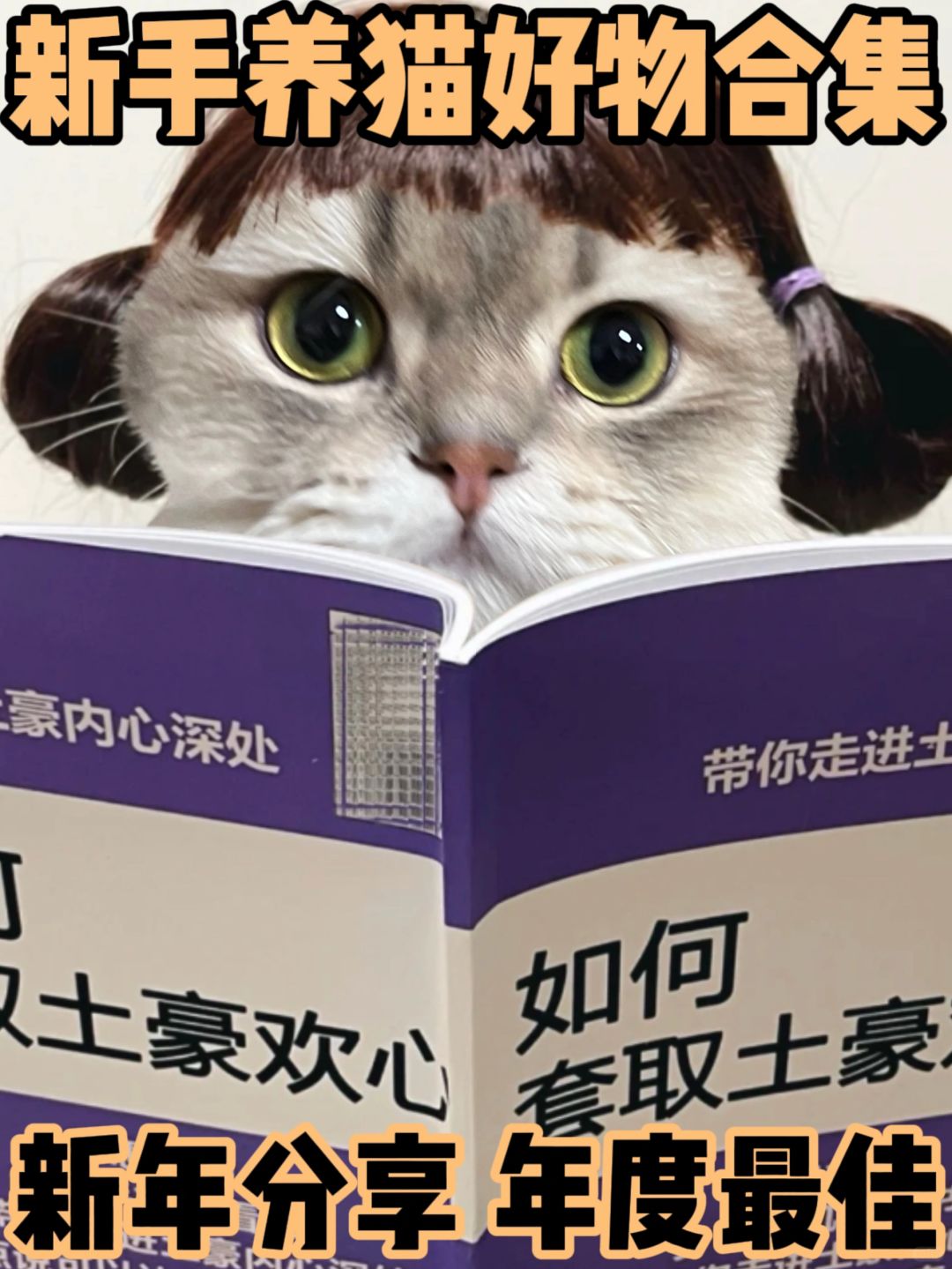 新手养猫好物合集❗️｜新年分享年度总结