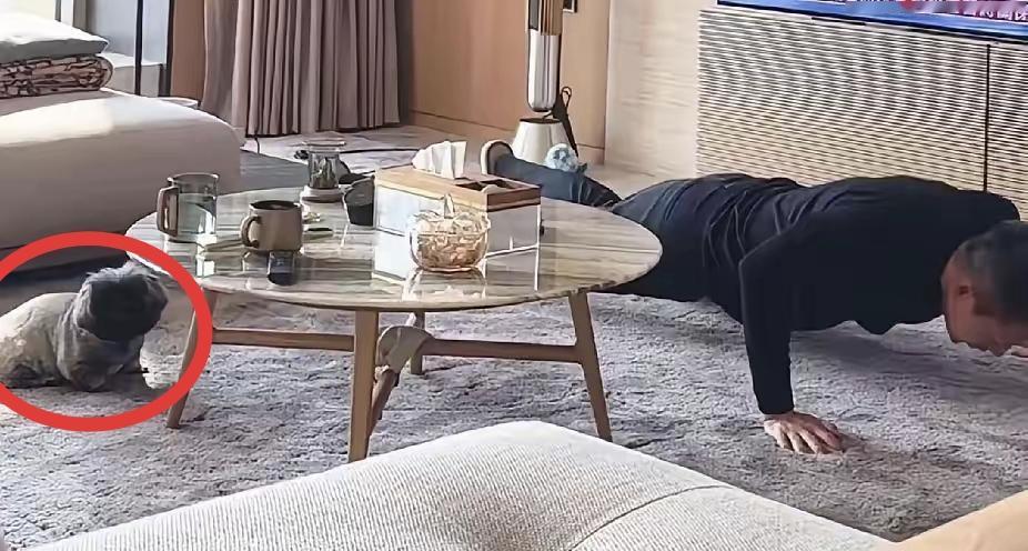 别看汪小菲似乎回归到了家庭，这只是为了配合拍摄，导演出了一段家庭日常剧而已。
人