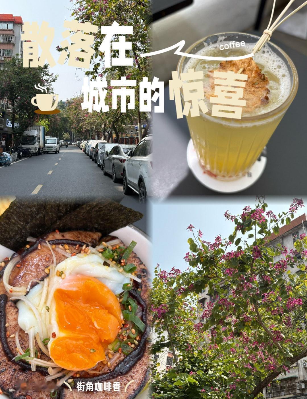 羊蹄甲盛开的五羊邨，一定要来看看
📍广州 
周末拐进五羊邨，正撞上羊蹄甲最盛的