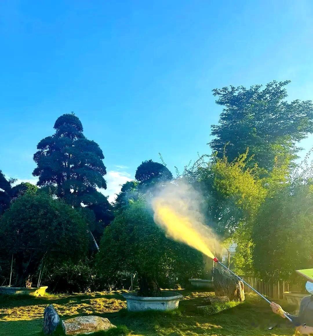 怪不得今年夏天家里蚊子少得离谱，我还真以为是天太热，把它们都“劝退”了。
结果看