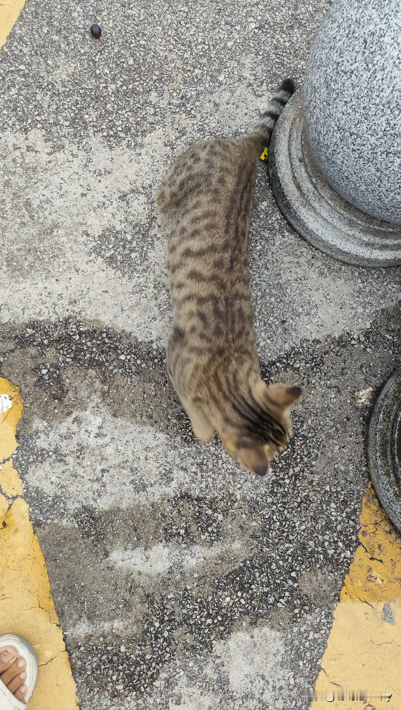 女人这辈子可以靠谁？谁也靠不住，只有靠自己，自己才是最重要的人，各位友友们你们说