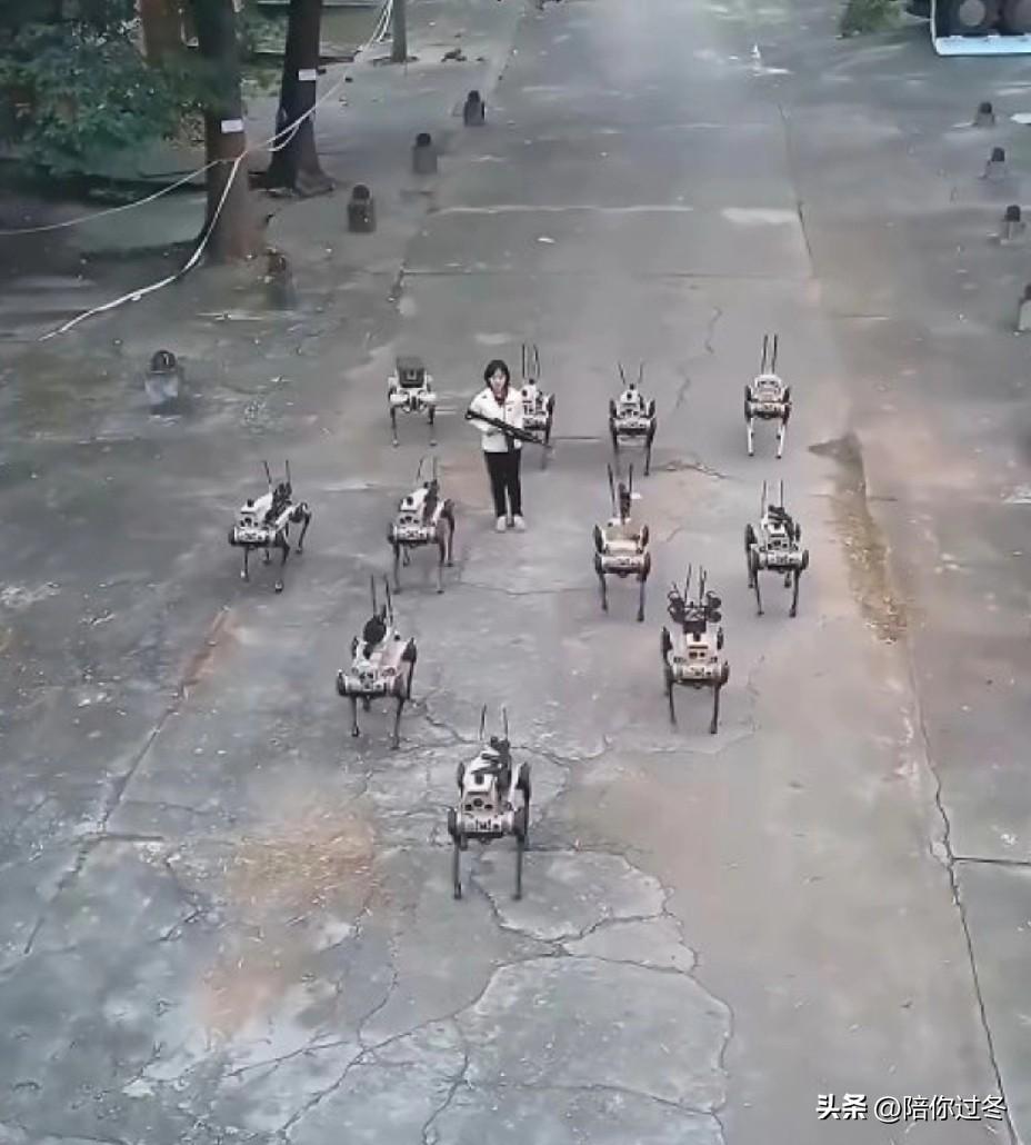 升级版机器狼群巷战画面曝光！
二代机器狼全面升级了，打得更远，佩戴武器的种类更多