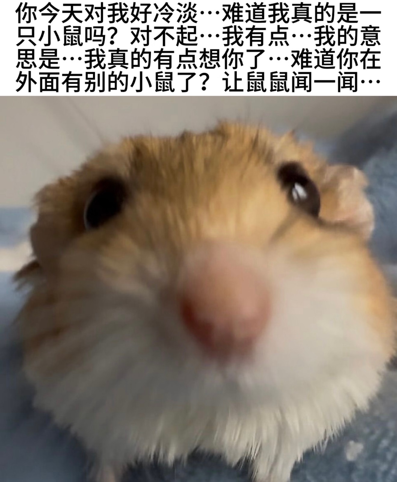 对不起每一张都是鼠妞本妞[拜托] ​​​