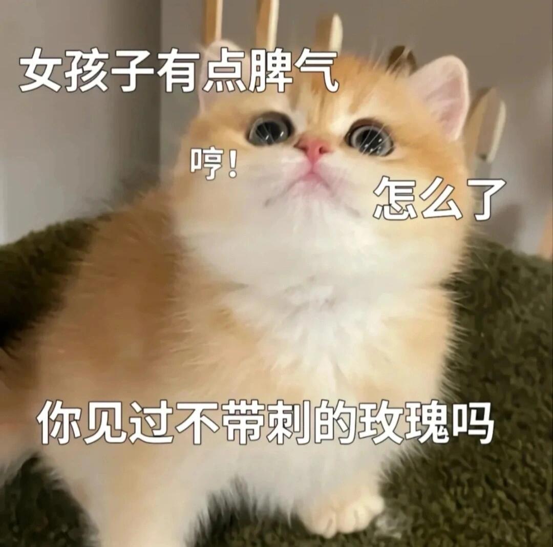 撒娇卖萌的猫咪表情包 