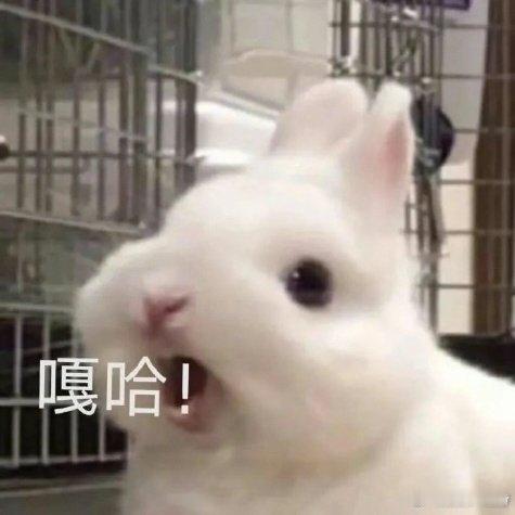 把丑话说到前头，胶水馒头凭古偶都提名了，票房扑街的都提名了，金像奖最小十几岁都能