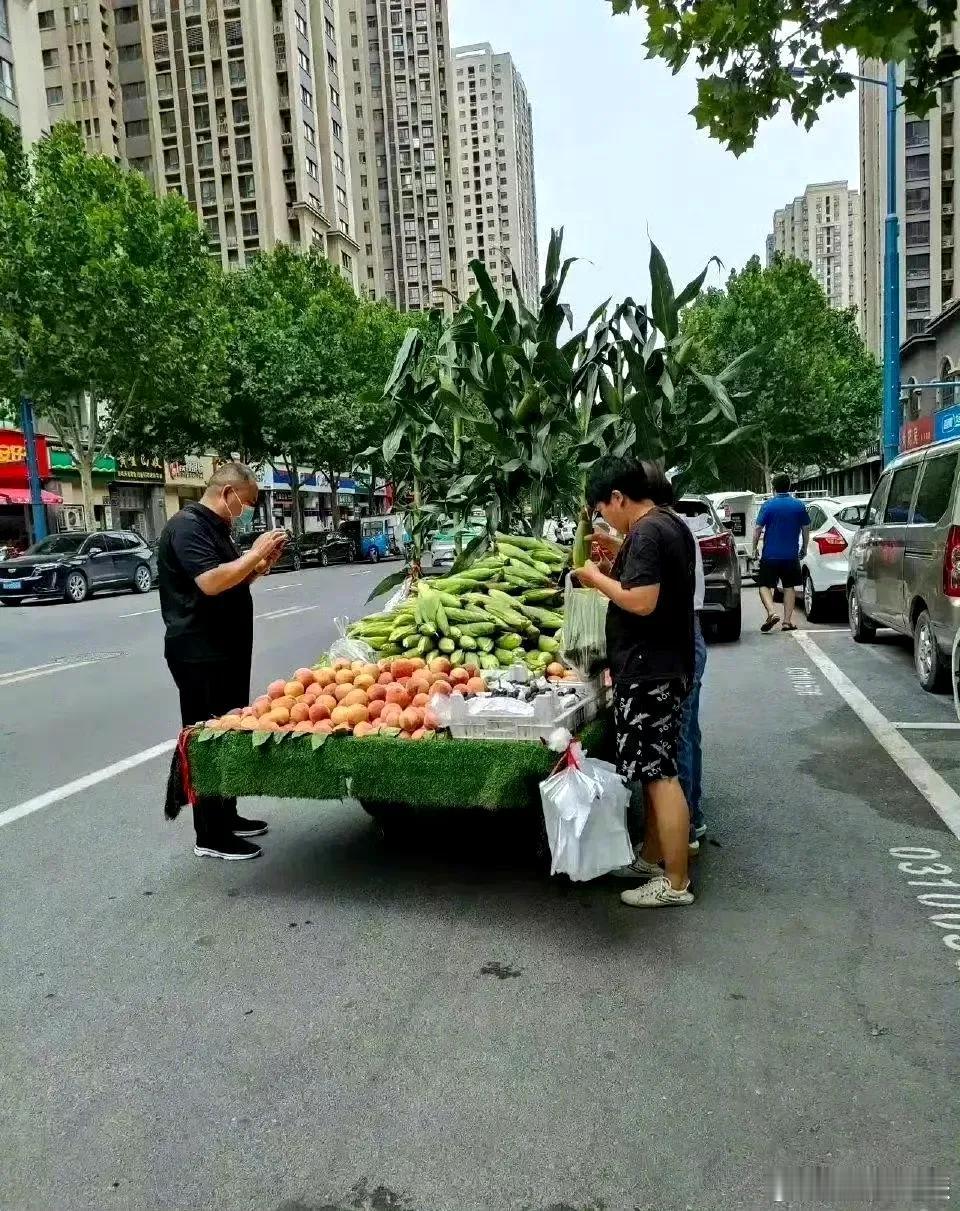这不就是采摘吗？保您家门口采摘，保新鲜。瓜熟了吗 甜蜜采摘地 采摘 出游采摘 自