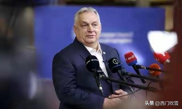 根据今日俄罗斯等媒体援引叛逃乌克兰情报人员的爆料，泽兰斯基自2025年11月起，