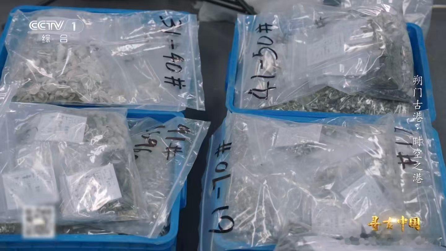 温州一千多年前就流行嗦螺了古人也吃雪蛤 考古队挖出宋代的“吃货证据”！花甲、钉螺