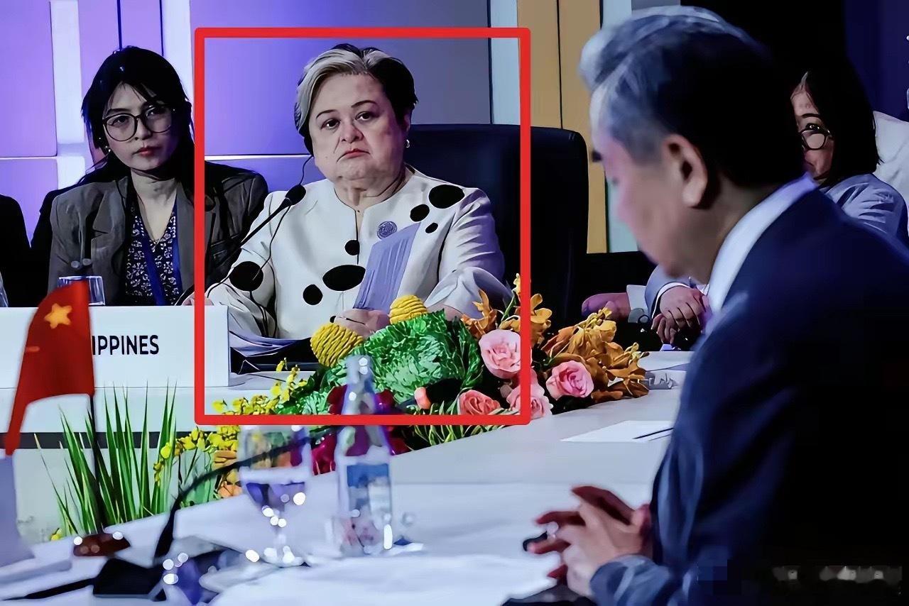 就凭菲律宾外长这表情，强烈建议我们必须要给他们点颜色看看，有时候光顾隐忍只会让对