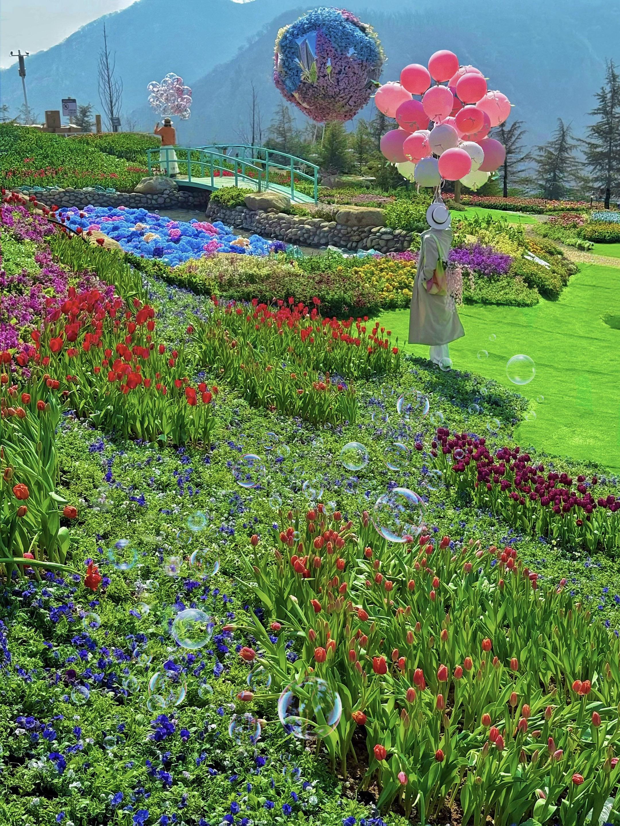 在淄博❗️漫山遍野郁金香🌷美成莫奈花园。淄博 你还有多少惊喜是我不知...