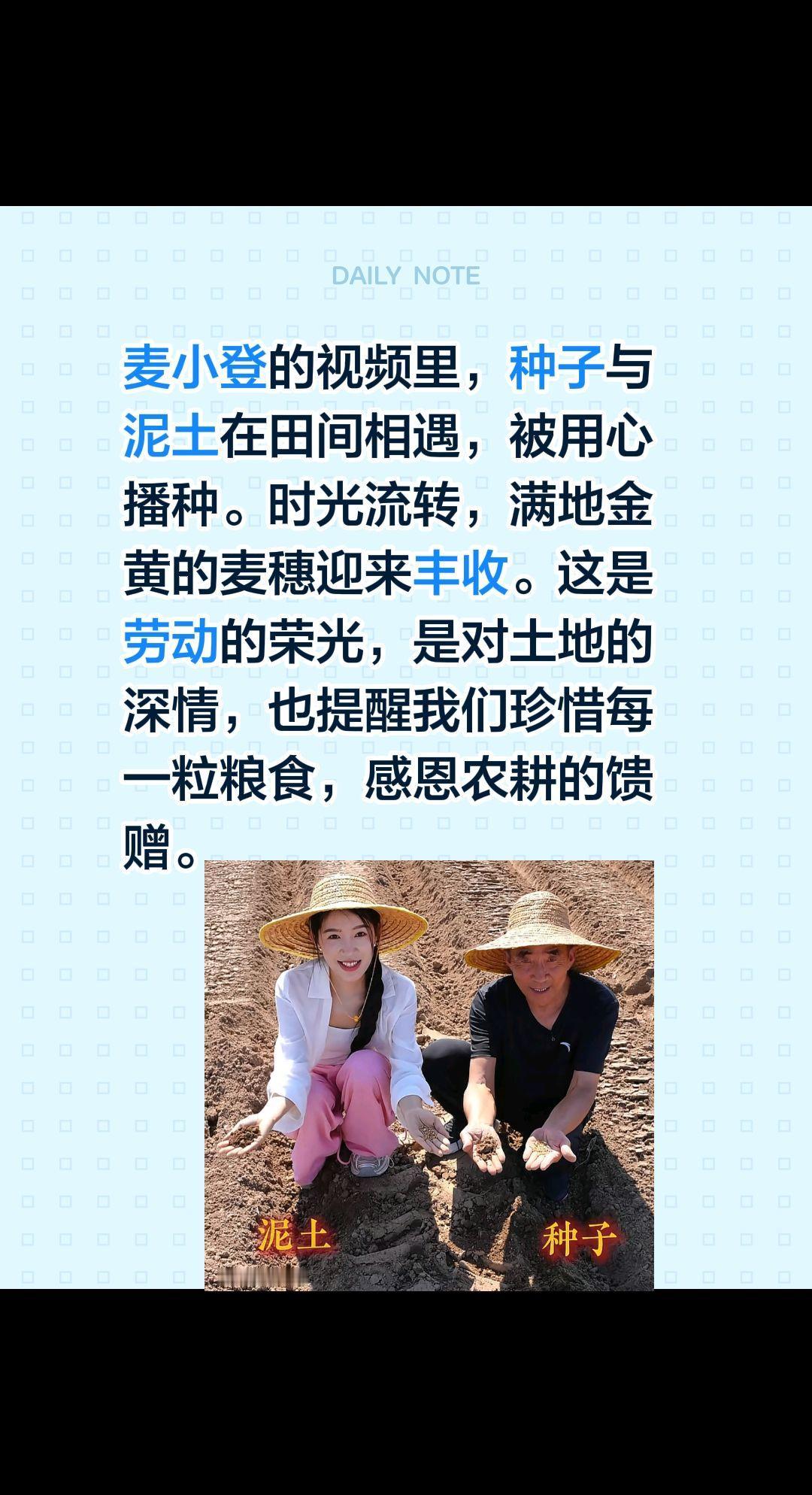麦小登的视频里，种子与泥土在田间相遇，被用心播种。时光流转，满地金黄的麦穗迎来丰