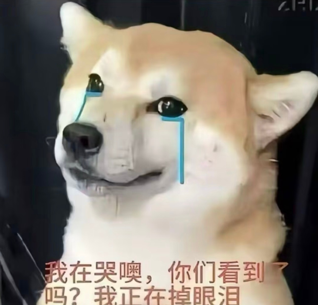【必】你懂吗？blft？ ​​​