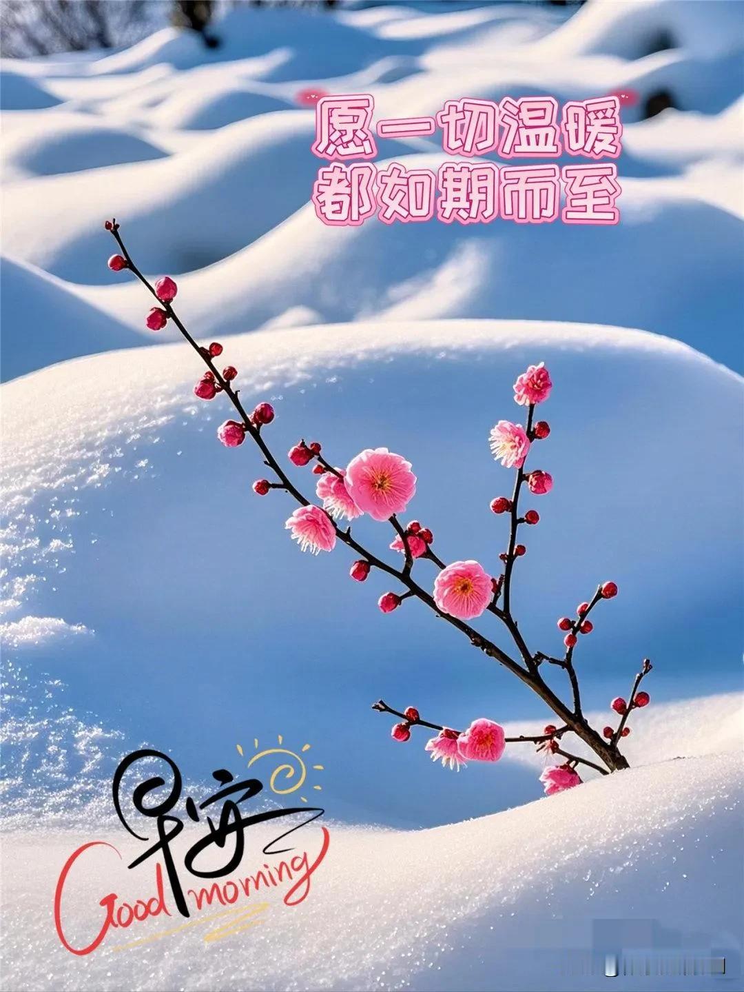 匆匆忙忙三百多天，恍恍惚惚又是一年，无论好坏，通通收下，继续前行，喝一杯敬自己吧