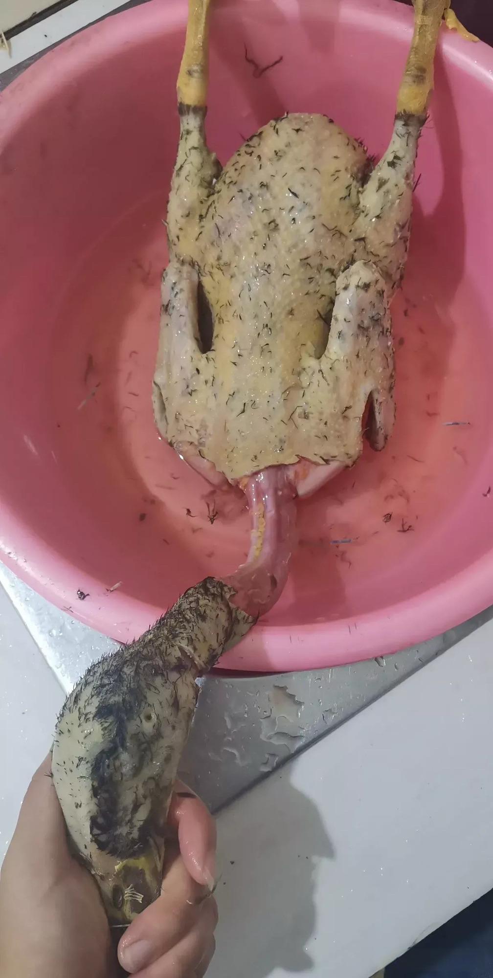 这咋办？还能要吗