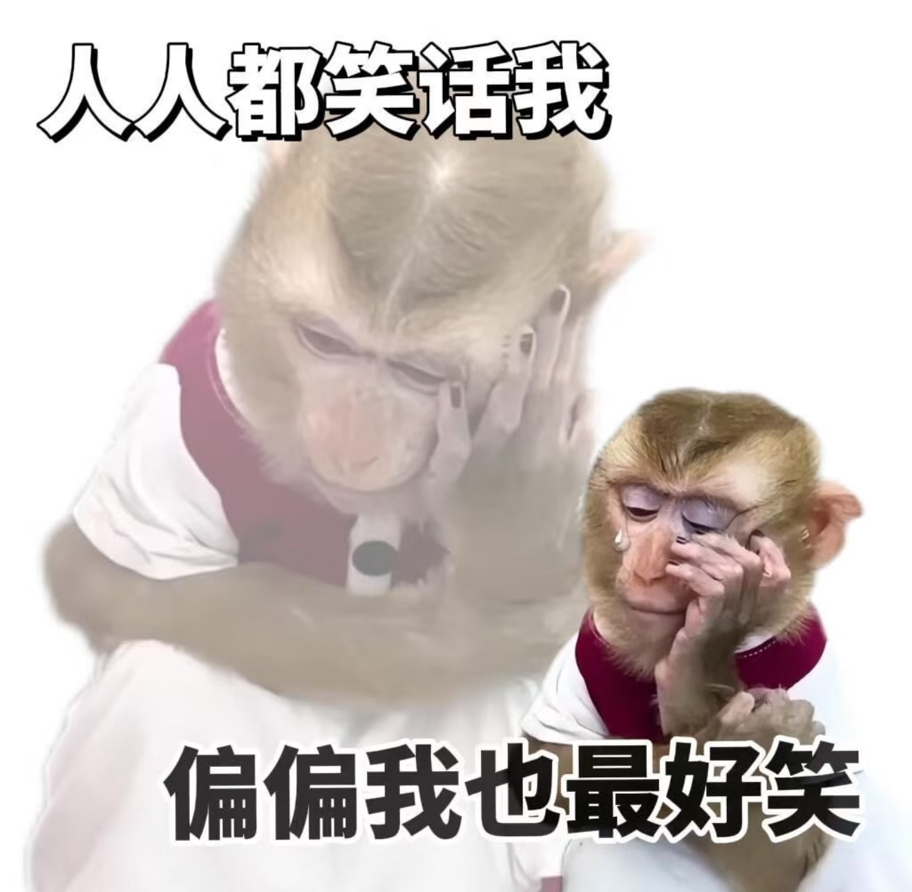 明明可以靠颜值，偏偏却要努力工作，不知道明明是谁，反正我是偏偏 ​​​