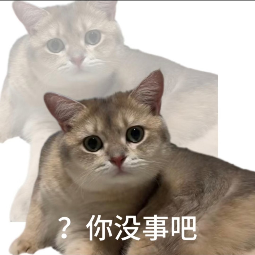 不是，我们自己的长灯牌都举不过来，还要专门花💰为ts定一个，然后专门要志愿者运