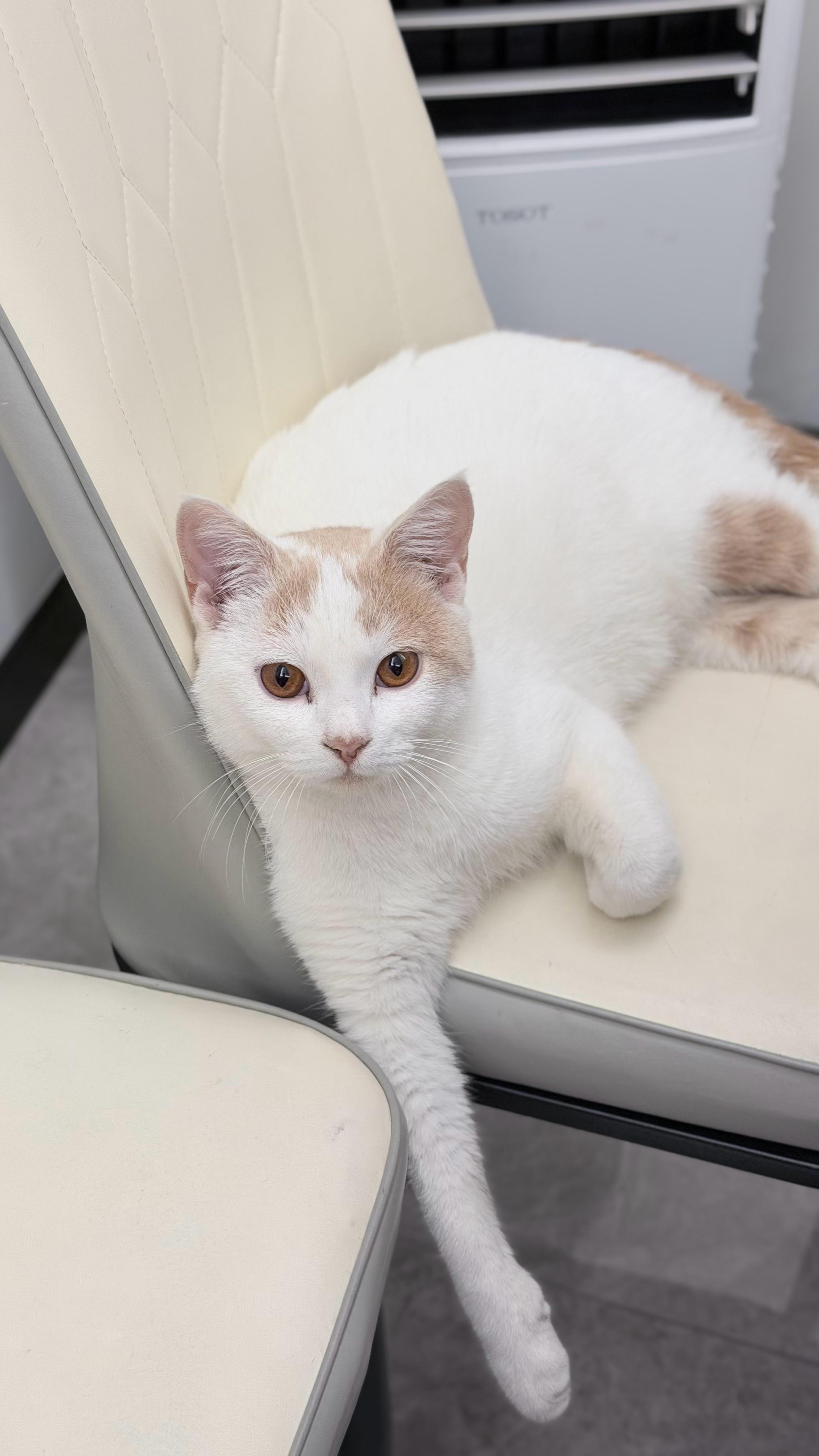 2025最燃音乐现场TOP30