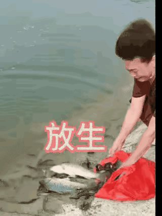 放生，功德无量，但千万别耍小心眼，人在做，天在看。