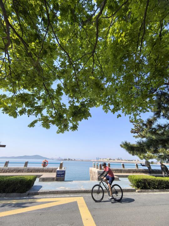 5.11青岛海边的绿荫步道走起来