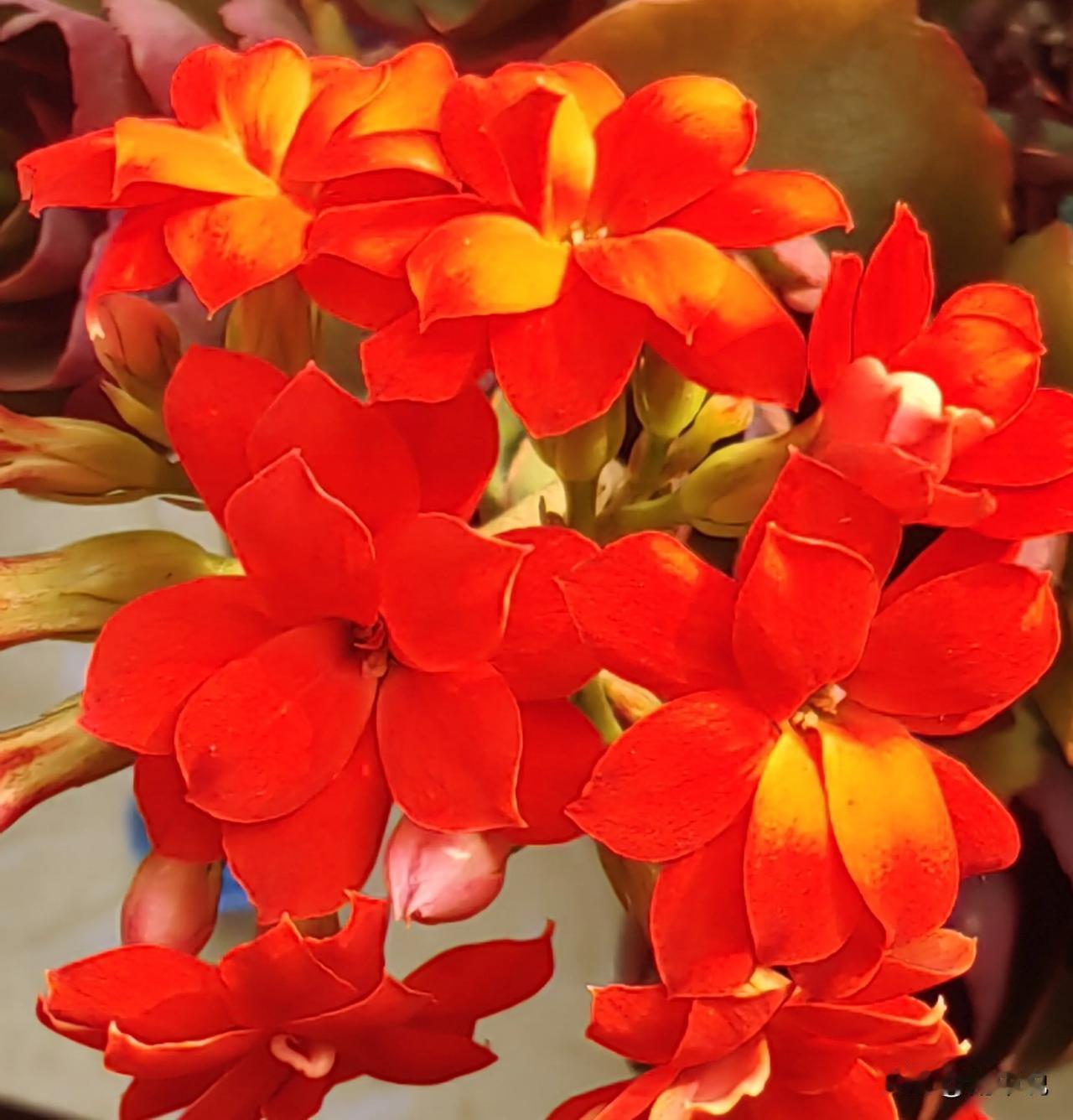 深度思考的魅力，其实就是在一团乱麻里慢慢把线头揪出来。你越往深处钻，越会发现那些