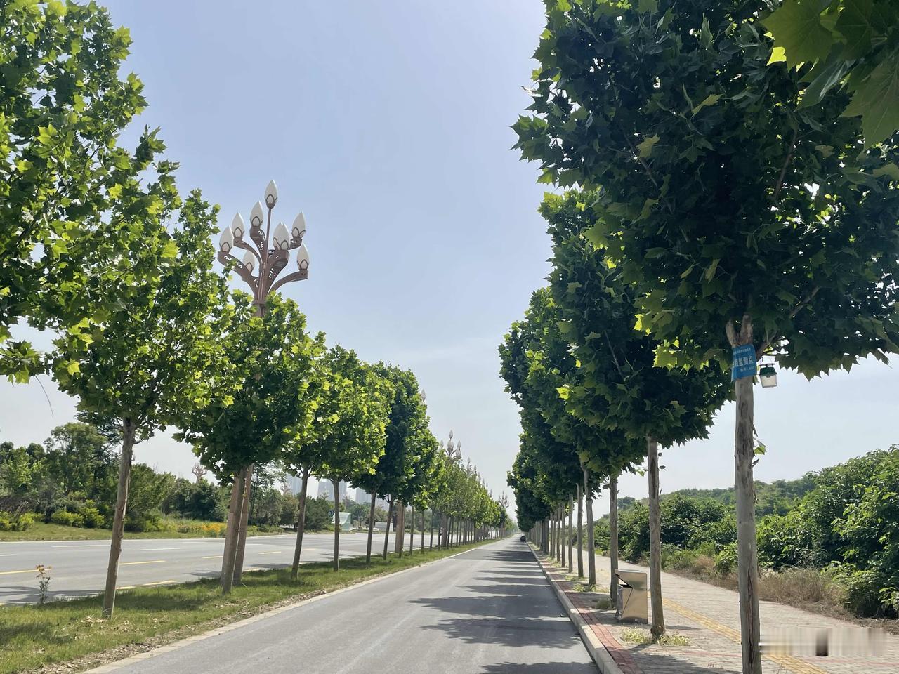 【七律•人若平和】
人若平和自在多，
福分也会紧跟着。
思无百虑须轻诉，
饮尽三