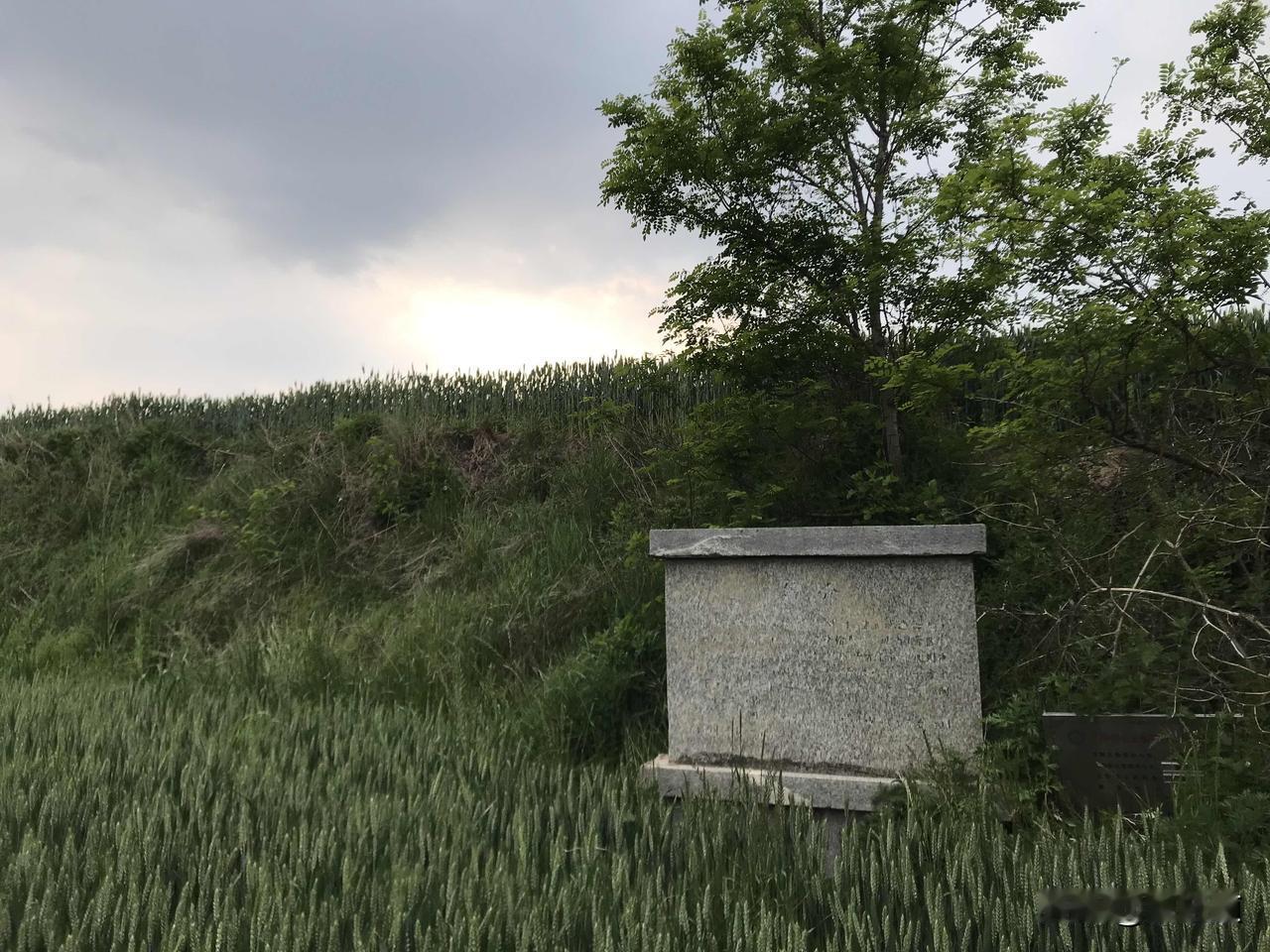 探访盐仓城遗址。于盐仓城遗址旁，遇见一位正整地打算种花生的老者，他称自己已年逾七