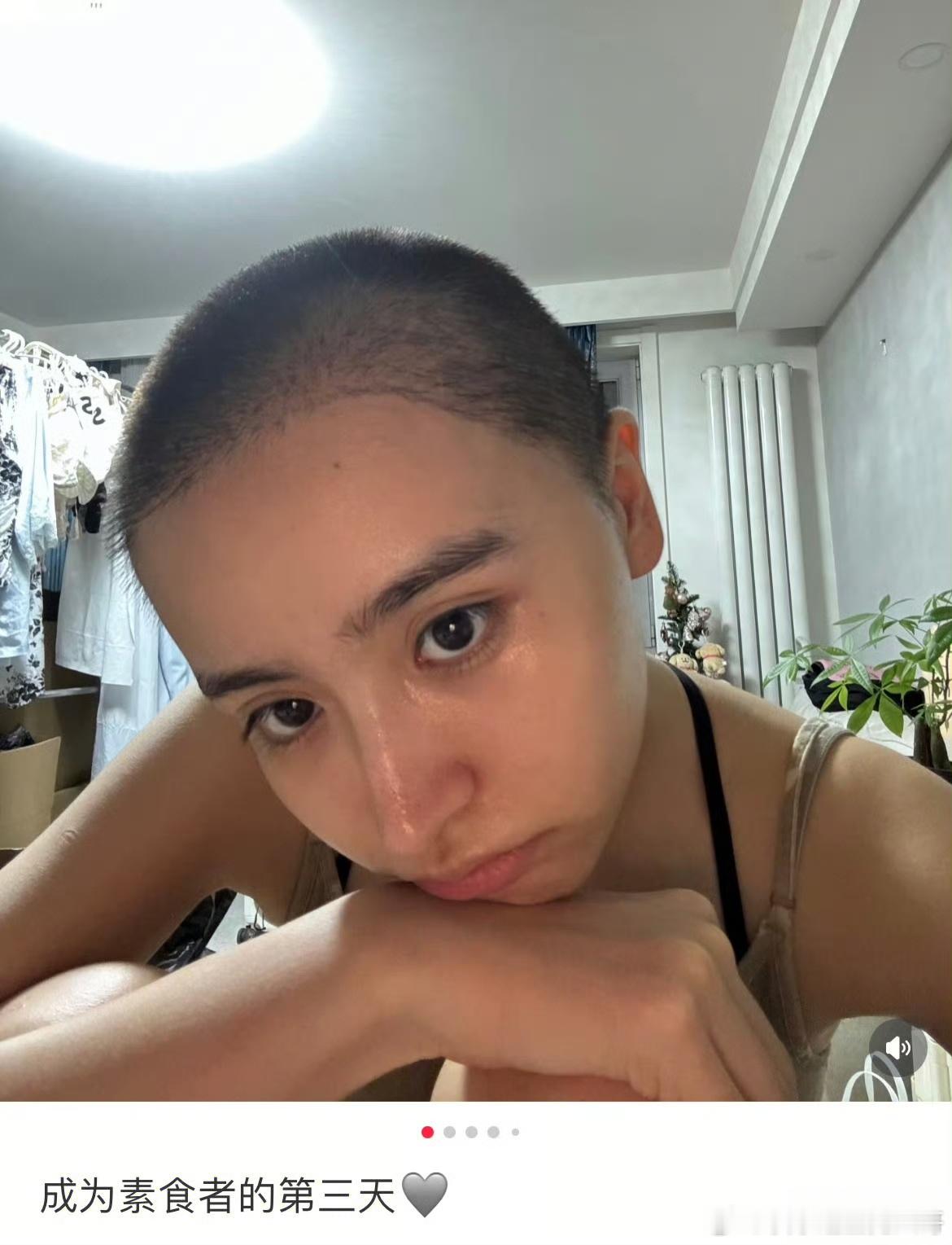 金子涵吃素金子涵开始吃素 金子涵发文：“成为素食者的第三天”，姐开始吃素了。 ​
