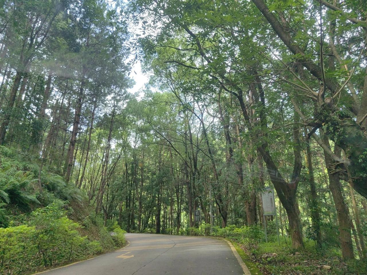想想自己真是个苦命人，出生在80年代重男轻女的家庭，一出生就没有性别红利，不讨喜
