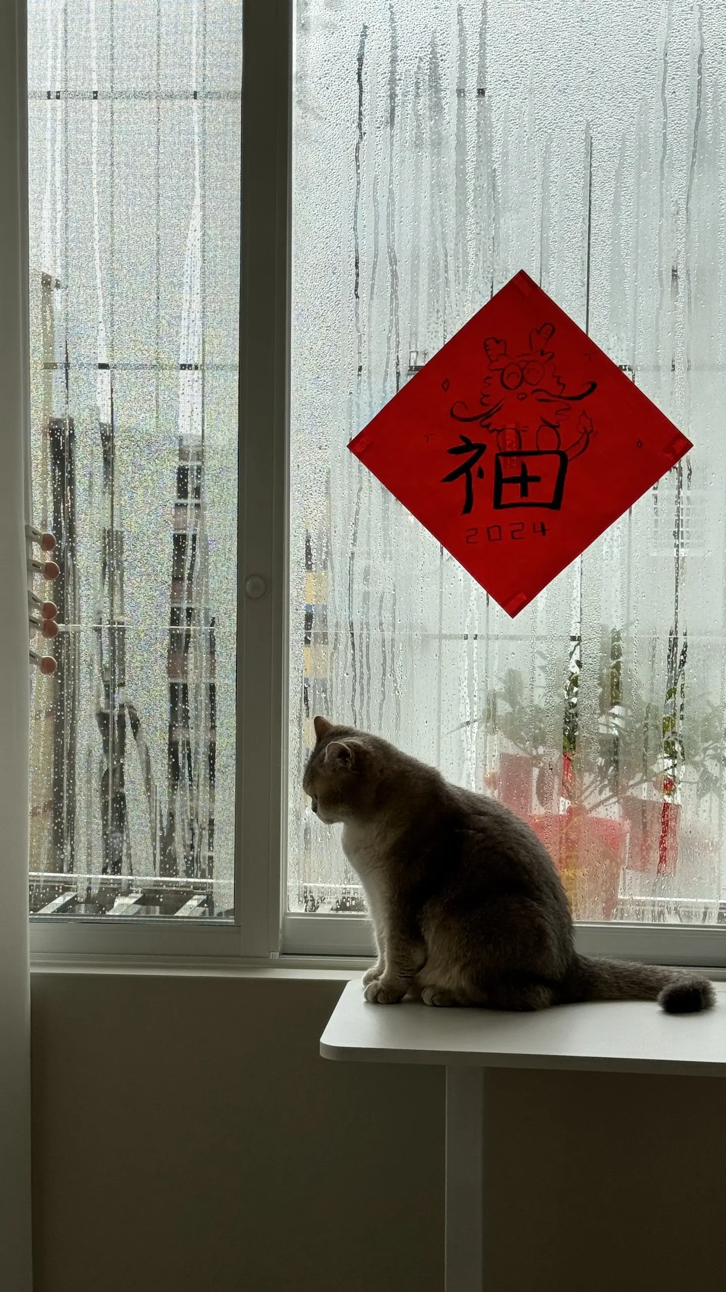 猪咪：麻麻这个家就剩我是干的了。