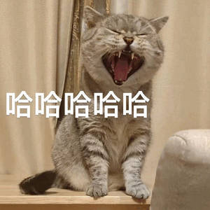 以后造谣博子的能不能按照造谣运动员的标准，进行全网通报批评进🍊 ​​​